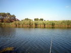Klik za otvaranje slike izleti