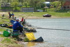 mladi 2011