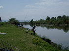 kup 2008.